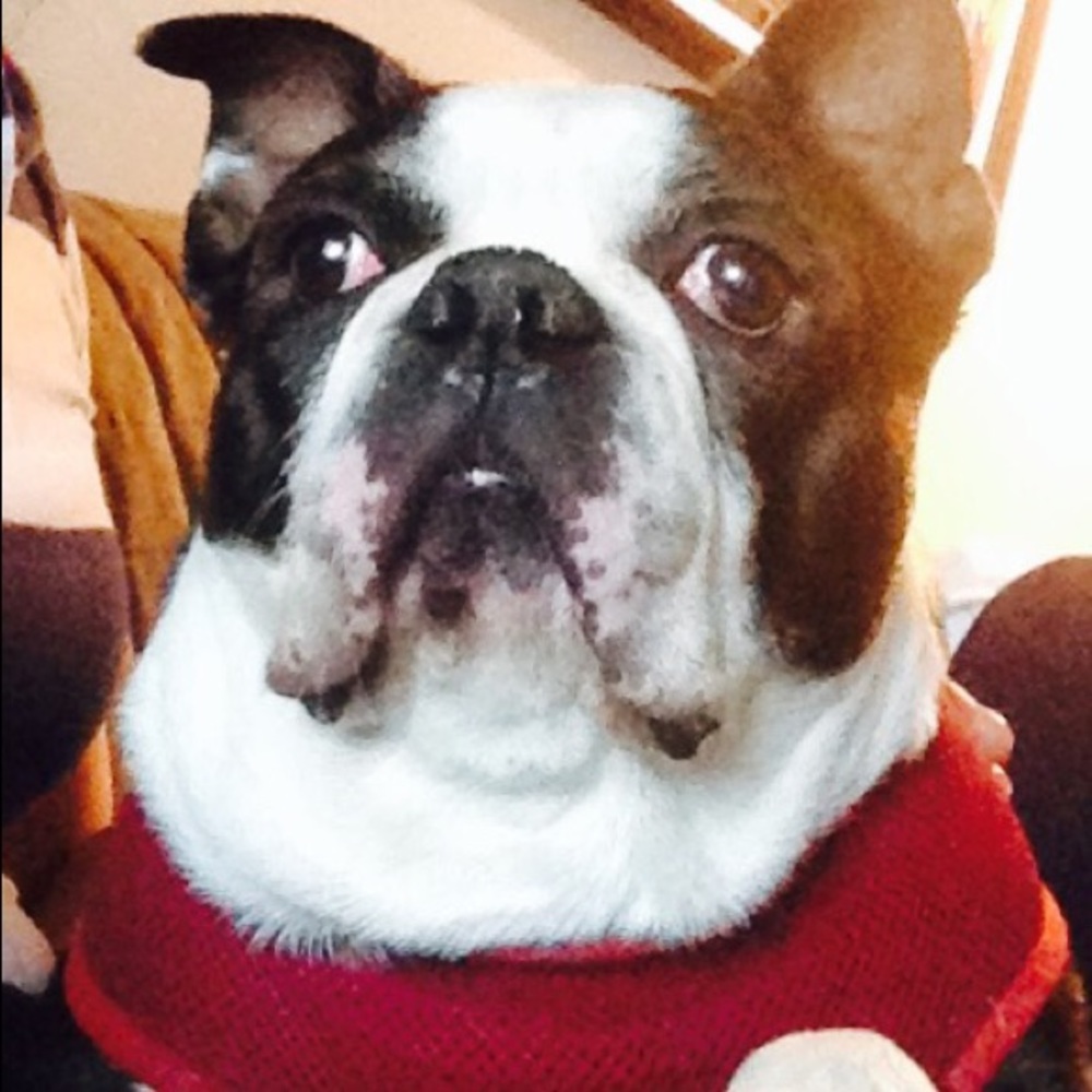 Meet your Posher, Elsai